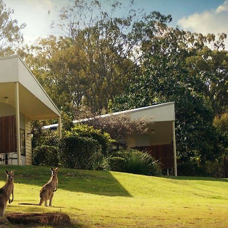 Boonah Valley Motel Esterno foto